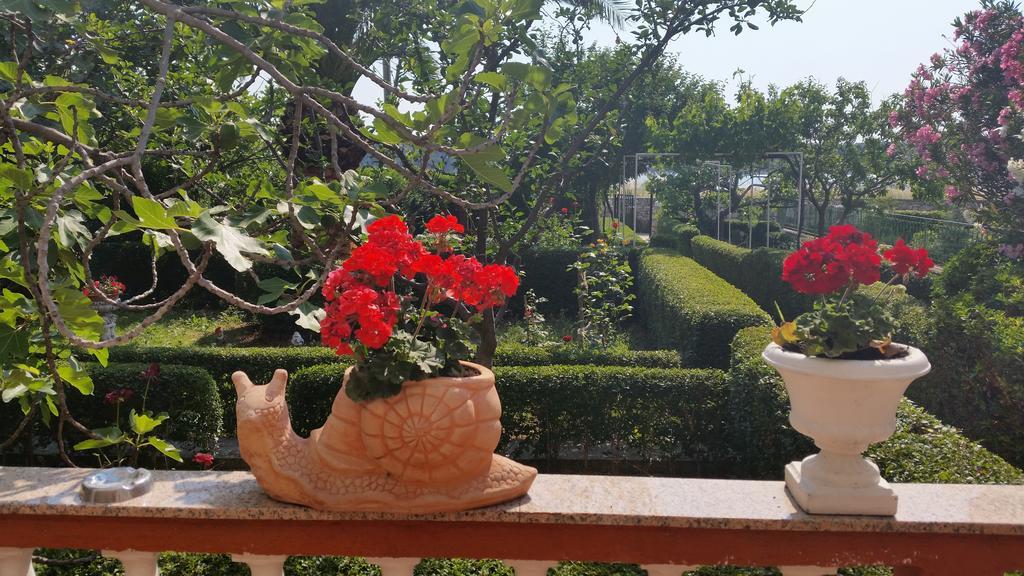 Guesthouse Mira Rab Town Ngoại thất bức ảnh