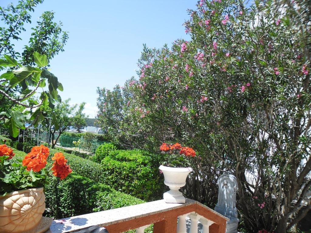 Guesthouse Mira Rab Town Ngoại thất bức ảnh